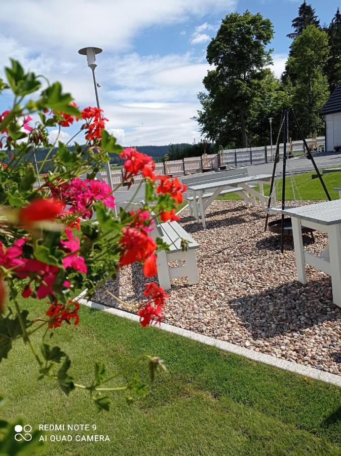 Caloroczny Osrodek Wypoczynkowy Comfort House Villa Duszniki Zdrój Esterno foto